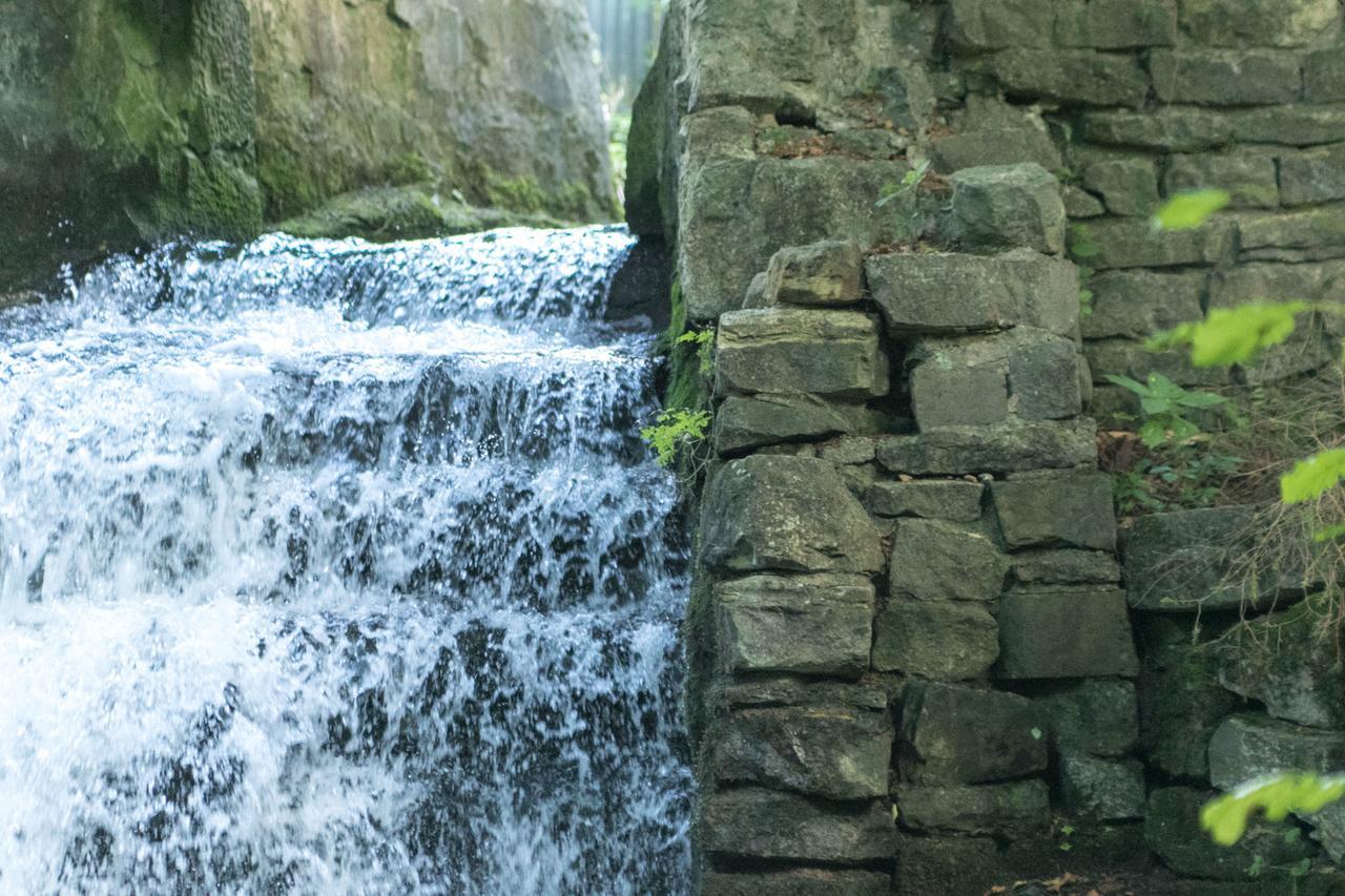 Haus Am Wasserfall Detmold Ngoại thất bức ảnh